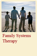 Family Systems Therapy